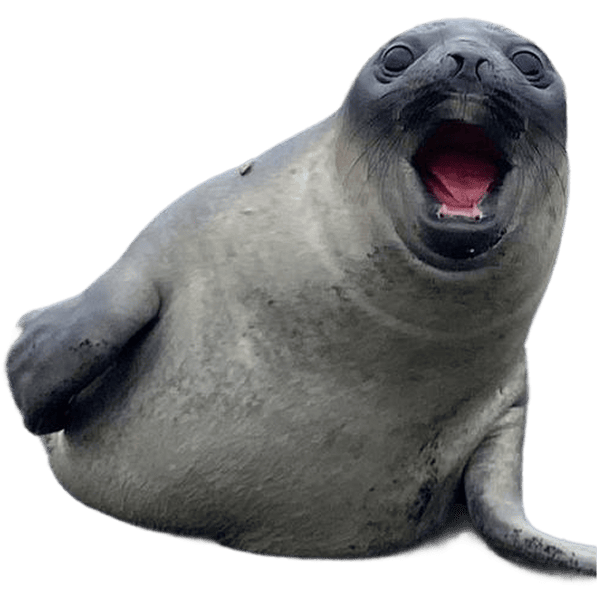 antartica.banner-sponsor.img-alt-animal1