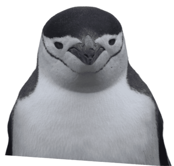 antartica.banner-sponsor.img-alt-animal2
