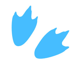 Imagen de huellas de pingüino